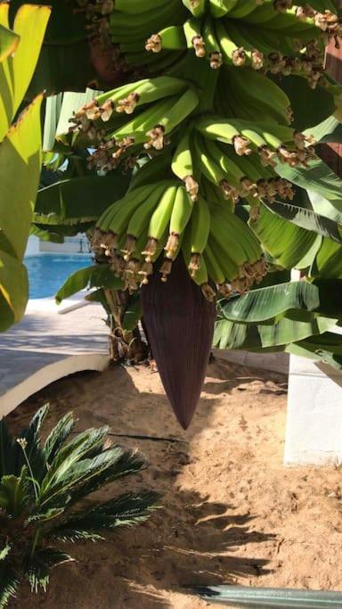 Gezellige Villa Met Prachtig Zicht En Zwembad Arona  Esterno foto