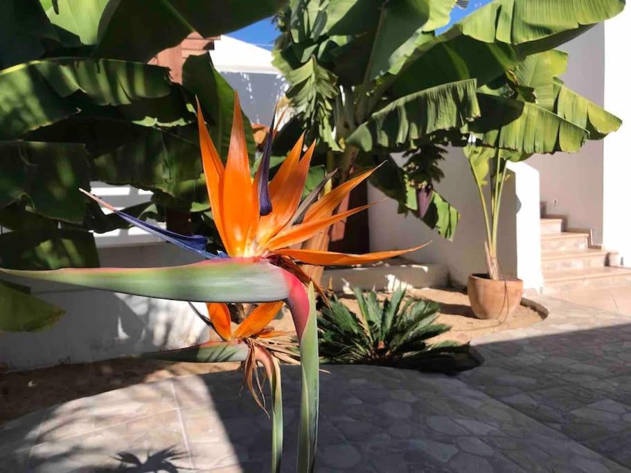 Gezellige Villa Met Prachtig Zicht En Zwembad Arona  Esterno foto